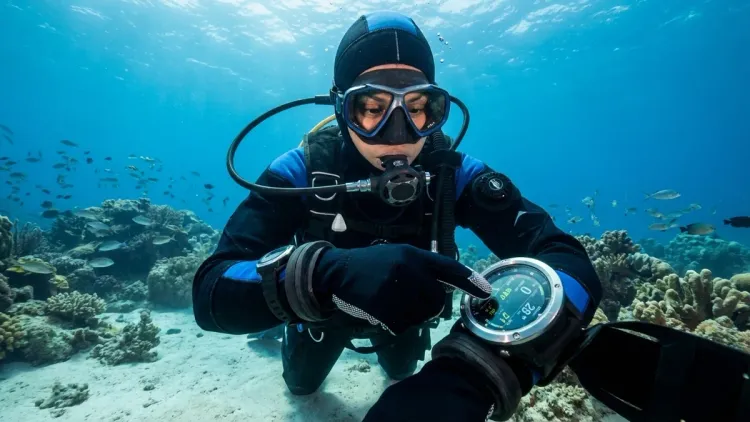 Step 6: Check Secondary Displays (Temperature, Compass, Alarms)