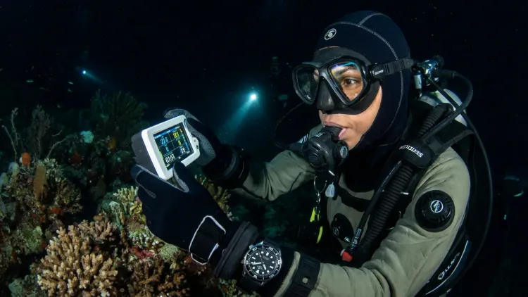 Can I read my dive computer in low light or at night?