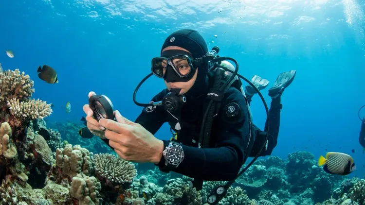 Step 7: Develop a Regular Scan Pattern and Make It Habit