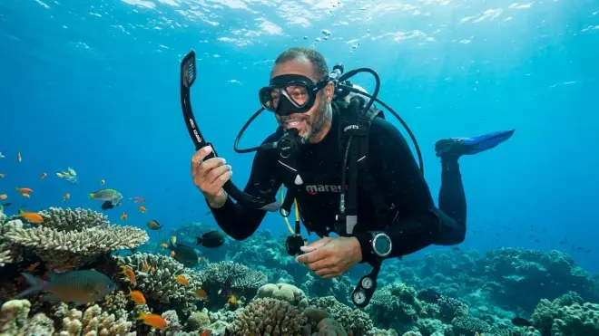 Is the Mares Ergo Dry suitable for freediving or just scuba diving?