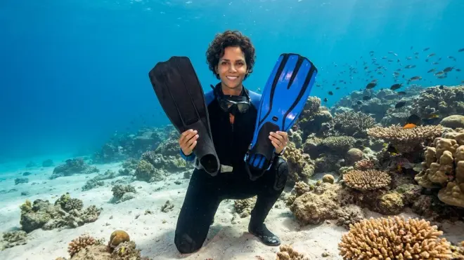 Should beginner divers choose split fins or paddle fins?