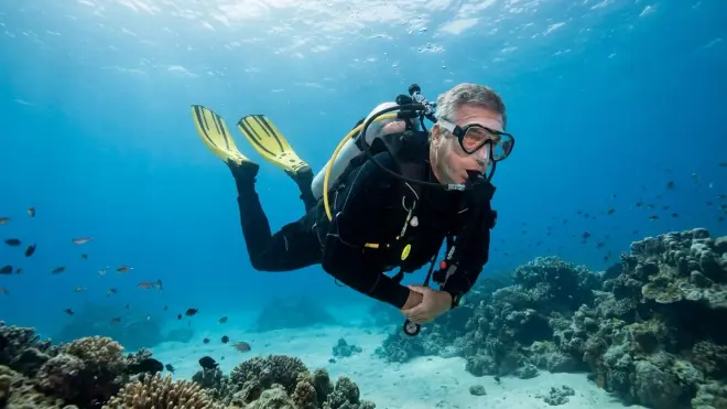 Can you frog kick with split fins?
