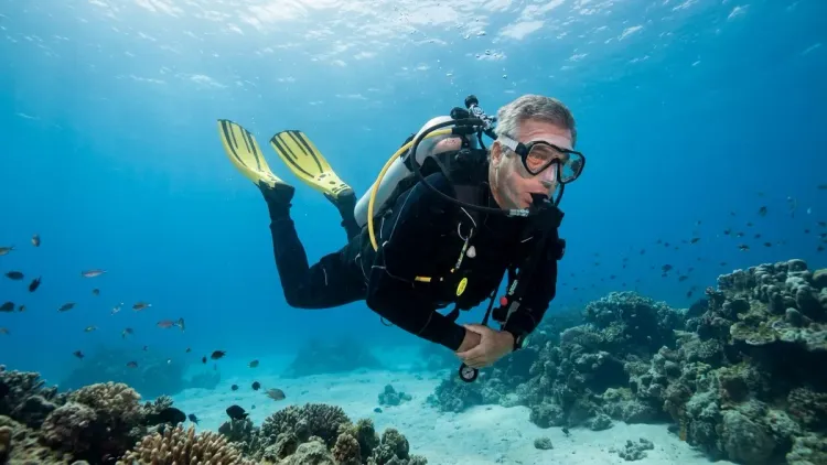 Can you frog kick with split fins?